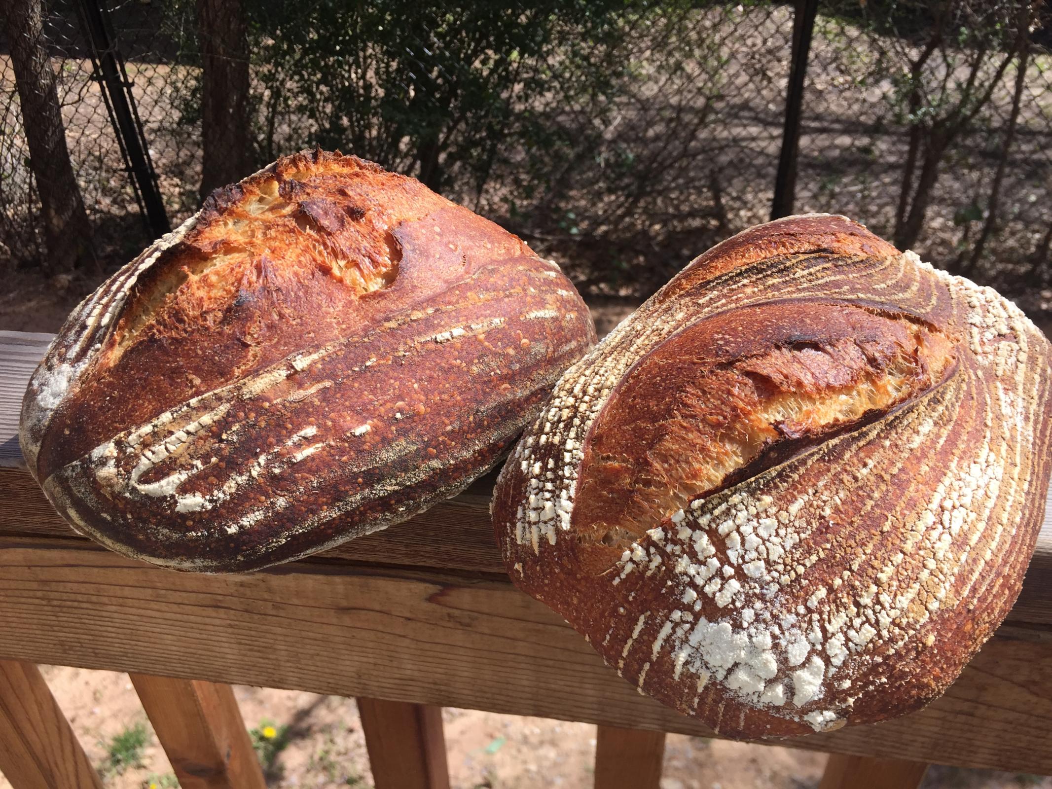 First try with AP flour The Fresh Loaf